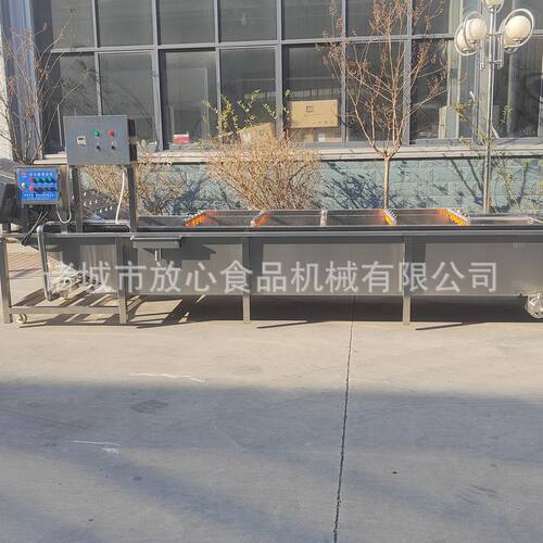 自动蔬菜气泡清洗机 黄花菜清洗机 娃娃菜清洗机