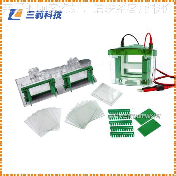 BioR-ad 0Mini-Pr小otean型垂直电泳槽 165801Mini-Pro电泳仪垂直
