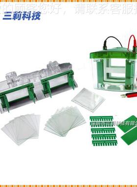 BioR-ad 0Mini-Pr小otean型垂直电泳槽 165801Mini-Pro电泳仪垂直