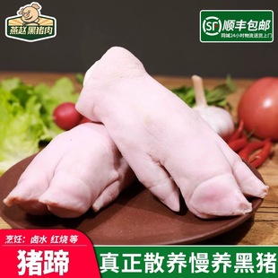燕赵黑猪肉有机新鲜猪蹄精心慢养500天正宗跑山猪农家黑毛猪猪蹄