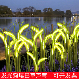 led狗尾巴草灯户外发光12V防水草地插灯网红景区公园广场草坪灯