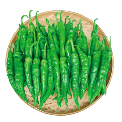 樟树港辣椒种子湖南青椒