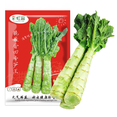 四季莴笋种籽莴苣种子农家春秋菜