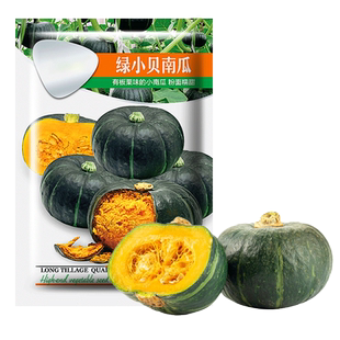 日本绿贝贝南瓜种子迷你板栗南瓜苗黄红小南瓜种籽春秋四季蔬菜孑