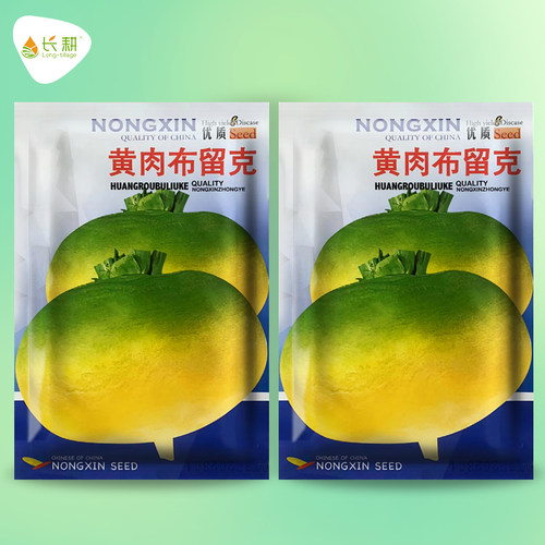 黄肉布留克种子蔓菁甘蓝卜留克