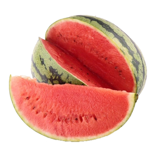 8424麒麟无籽美都西瓜种籽大全种子水果瓜果苗小南方蔬菜苗秧种孑