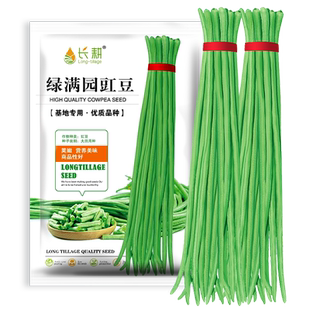 四季高产豇豆种子特长豆角种籽阳台盆栽四季豆种子大全蔬菜种孑