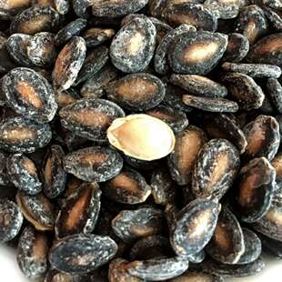 闽南特产年货 小双喜咸瓜子盐焗瓜子西瓜子晋江石狮水煮瓜子500克