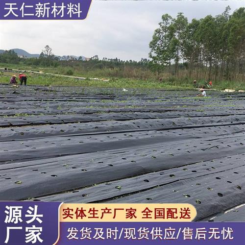 防草布农用园艺地膜抗老化透气保湿可浇灌遮草抑草布全新料除草布