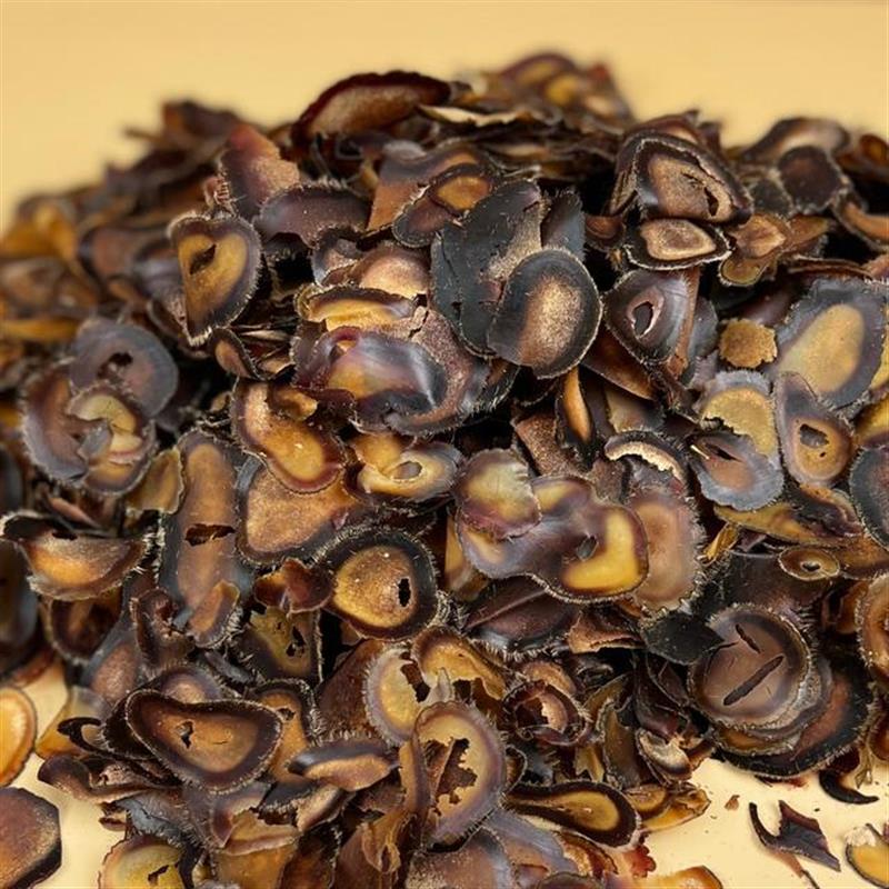 破茸鹿茸破腊片+西洋参片营养调理滋补品
