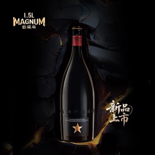 艾帝达姆大星啤酒小麦白啤精酿西班牙原瓶进口皮尔森艾尔1.5L