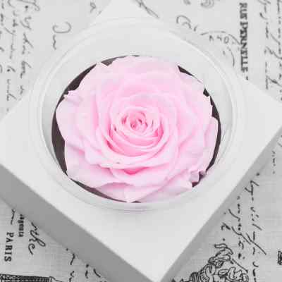 幻花永生花巨型A玫9-10CM玫瑰花材小王子的永不凋谢diy手工材料