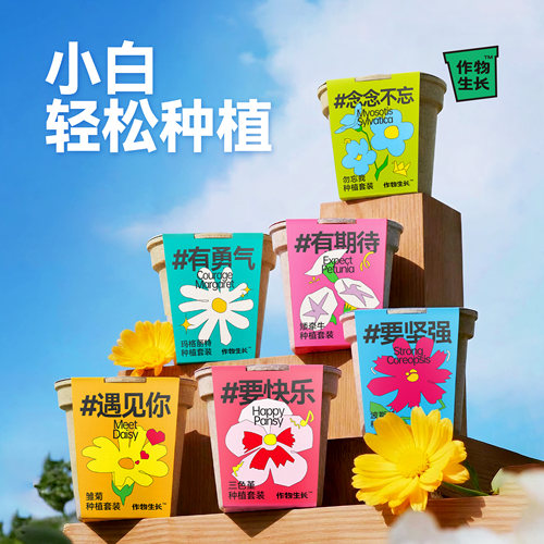 作物生长花卉种植盆栽
