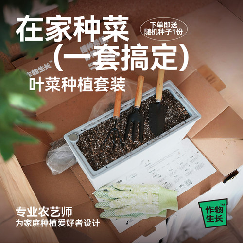 家庭种植套装有机阳台种菜