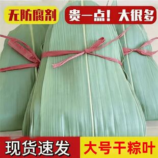 【特大粽叶】干粽叶超大粽子叶包粽子专用麻竹叶安徽箬叶批发整箱