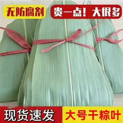 【特大粽叶】干粽叶超大粽子叶包粽子专用麻竹叶安徽箬叶批发整箱
