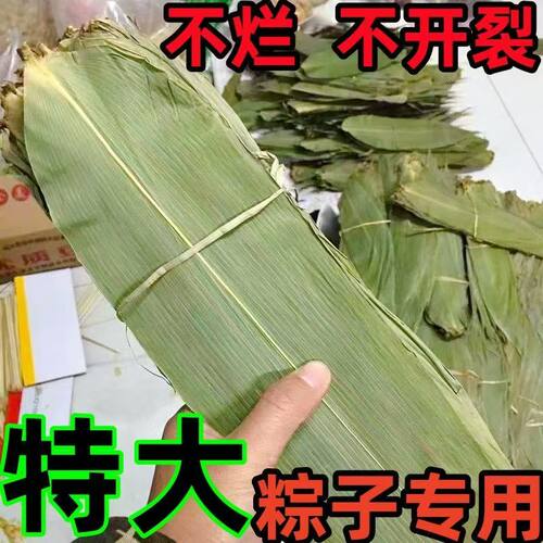 特大粽叶干粽叶端午节包粽子专用叶子真空包装新鲜粽子叶送绳教程