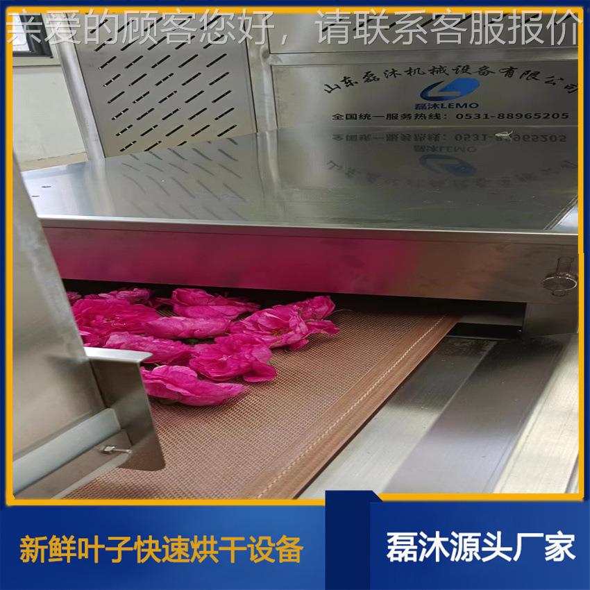 隧子道LM-20KW-式叶 智鲜花波烘干杀菌机 能操作实微时监控 一键