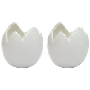 2Pcs Ceramic Flower Pots Chickens Eggs Succulent Plants Pot