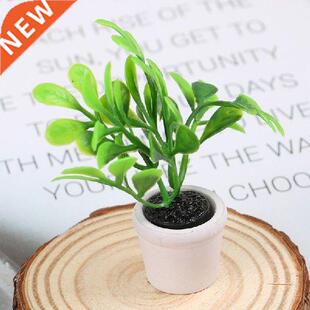 1:12 doll house mini potted small green plant decoration