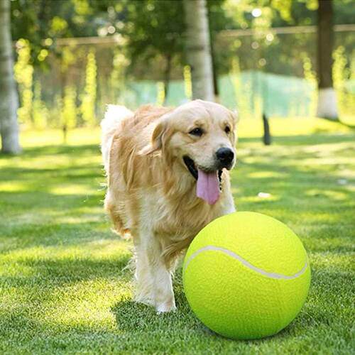 1PCS Pet Dog Tennis Ball Toys Durable Rubber Chew Teeth