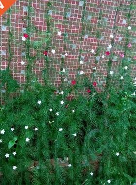 Nylon Trells Net Garden Fence Mesh Plant Clmbng Frame Gar