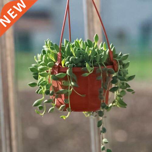 Flower Pot Flower Basket Reusable Heighten Plastic
