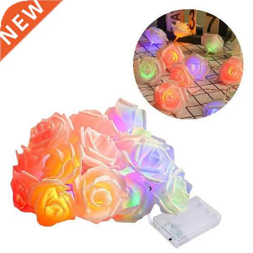 Christmas Lights Clear Wire 2 Meters 20 Lights Battery Box