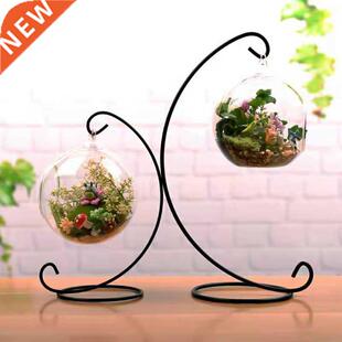 Flower Plant Clear Glass Vase Hanging Planter Terrarium