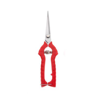 Plant Trim Horticulture Fruit Scissor Garden Hand Pruners To