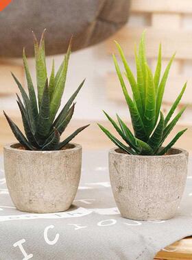 Zinmol Exquisite home decoration Fashion Artificial plants