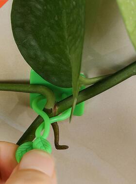 100pcs Invisible Wall Rattan Clamp Clip Plant Climbing Wall