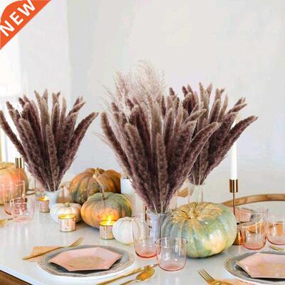 Dekoration 15Pcs Free Shipping Dried Pampas Grass Decor Wedd