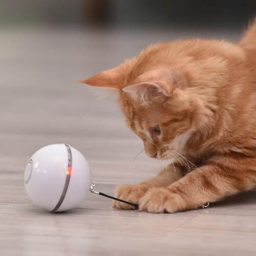 Electric Pet Ball Toys Colorful LED Rolling Flash Ball Toy F