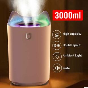 3L Air Humidifier Essential Oil Aroma Diffuser Double Nozzle