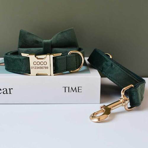 Unique Printing Pet Collar Dog Leash Dog Accessories For Pit