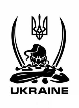 20004# cool RANE adhensve vnyl car stcker waterproof car