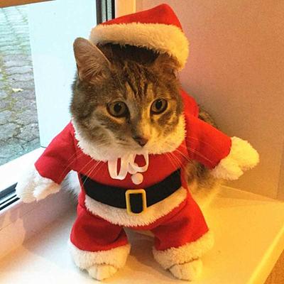 Christmas Cat Costumes Funny Santa Claus Clothes For Small C