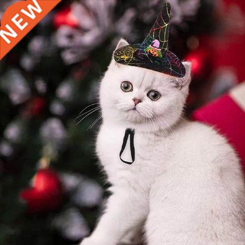 Funny Cute Pet Costume Cosplay Star Pumpkin Bat Witch Hat