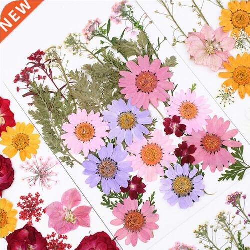 Natural Real Dried Flower Dry Plants For Aromatherapy