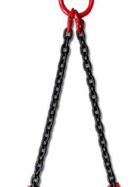 2Ton—11Tonx0.5-4M two legs 2-claw chain lifter for drum