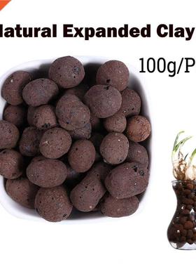 Organic Expanded Clay Pebbles Grow Media Orchids Hydroponics