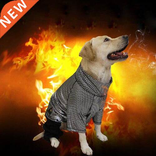 Winter Wrm big lrge dog golden retriever Lbrdor