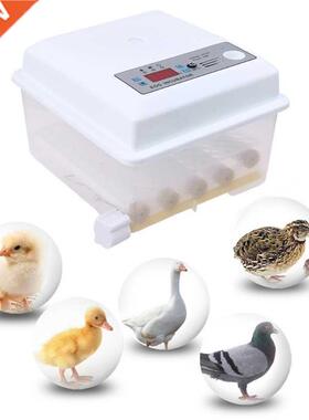 220V Eggs Incubator Brooder Automatic Farm Incubation Tools