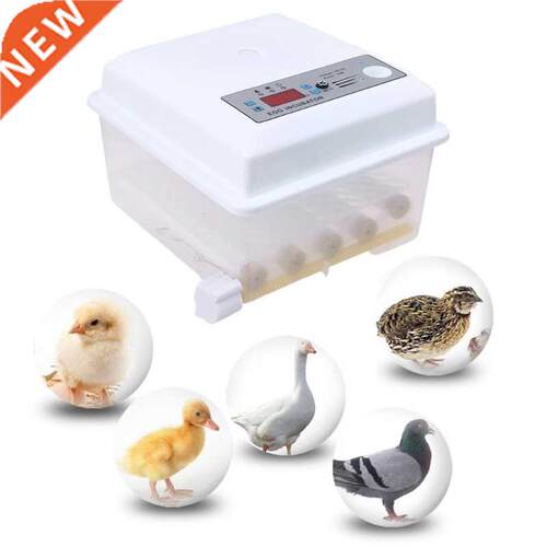 220V Eggs Incubator Brooder Automatic Farm Incubation Tools