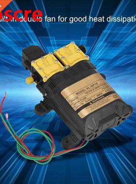 12V Double Hed Diphrgm Wter Pump Electric Wter Spryer