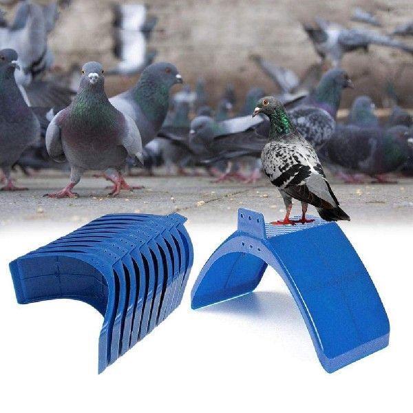 Dove Rest Stand Lightweight Portale Pigeon Stand Fre