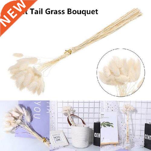 30pcs Dried Flowers Bunch Natural Rabbit Tail Grass