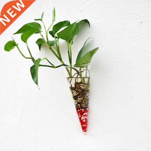 Circular Cone Glass Wall Hanging Vase Bottle for Plant Flowe