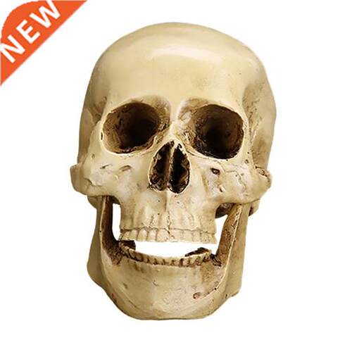 Gothic Replica Carving Model Skull Figurine Carving Model